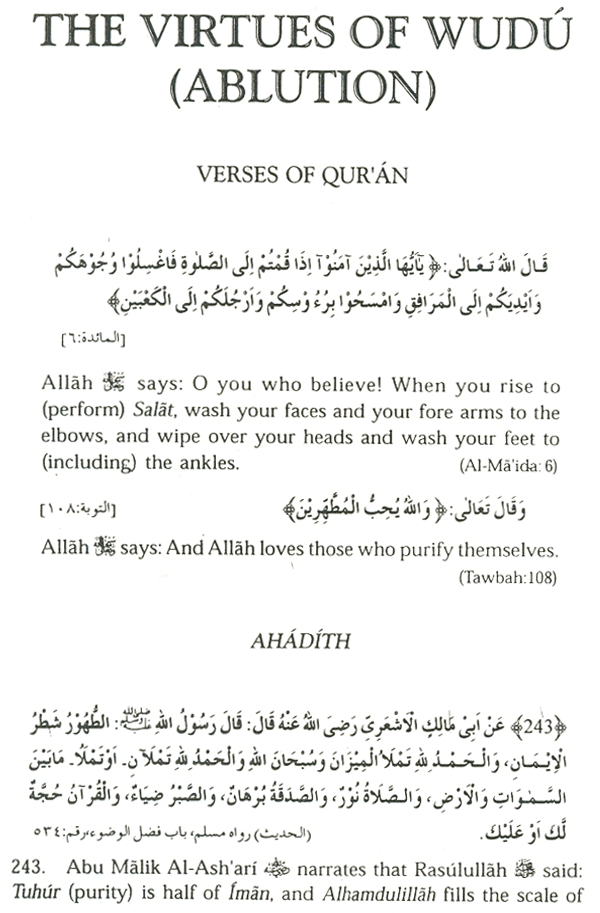 the virtues of wudu