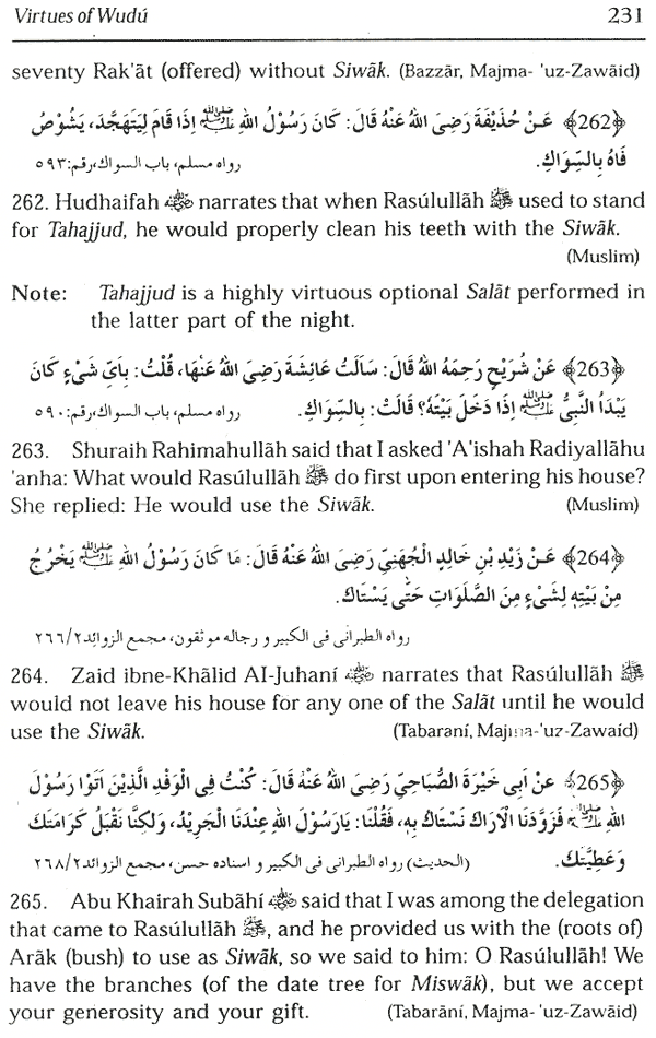 the virtues of wudu
